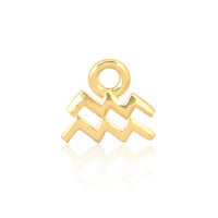 Zodiac Charm 14ct Gold Vermeil