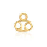 Zodiac Charm 14ct Gold Vermeil