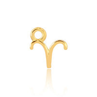 Zodiac Charm 14ct Gold Vermeil