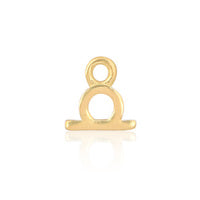 Zodiac Charm 14ct Gold Vermeil