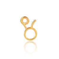 Zodiac Charm 14ct Gold Vermeil