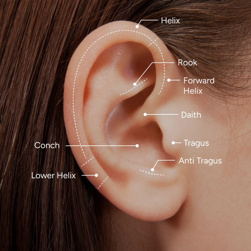 Helix, Daith, Conch, Tragus, Rook