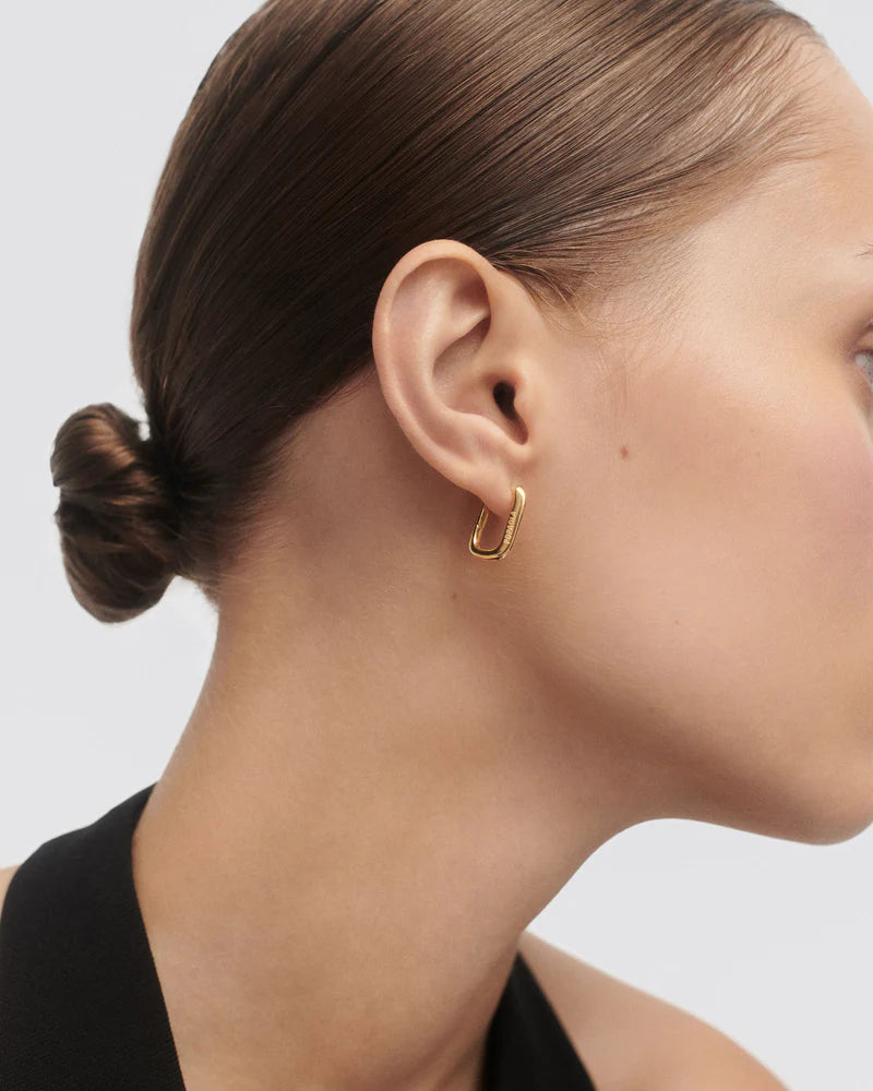 Rodeo drop earrings