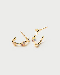 Five Earrings