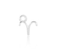 Zodiac Charm sterling silver