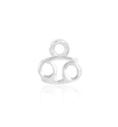 Zodiac Charm sterling silver