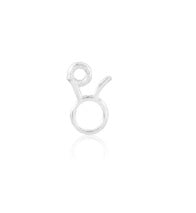 Zodiac Charm sterling silver