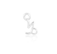 Zodiac Charm sterling silver