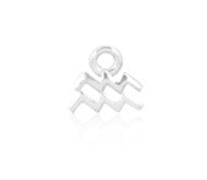 Zodiac Charm sterling silver