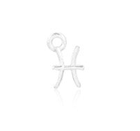 Zodiac Charm sterling silver