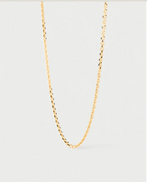 Essential Chain Necklace