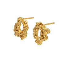 Pereskia Earrings