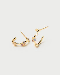 Five Earrings