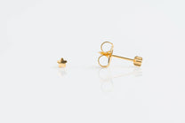 Gold Plated 3mm Star (23)
