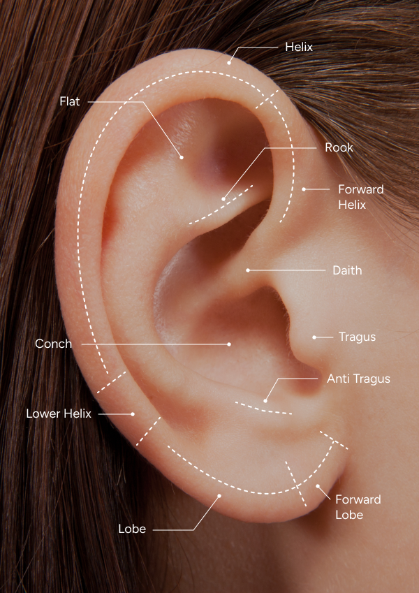 Placements for ear piercing as part of consultation