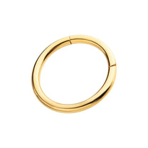 24KT Gold PVD Titanium Hinged Segment Clicker (20g to 14g)