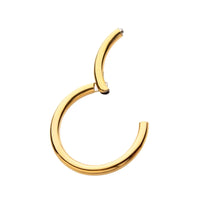 24KT Gold PVD Titanium Hinged Segment Clicker (20g to 14g)