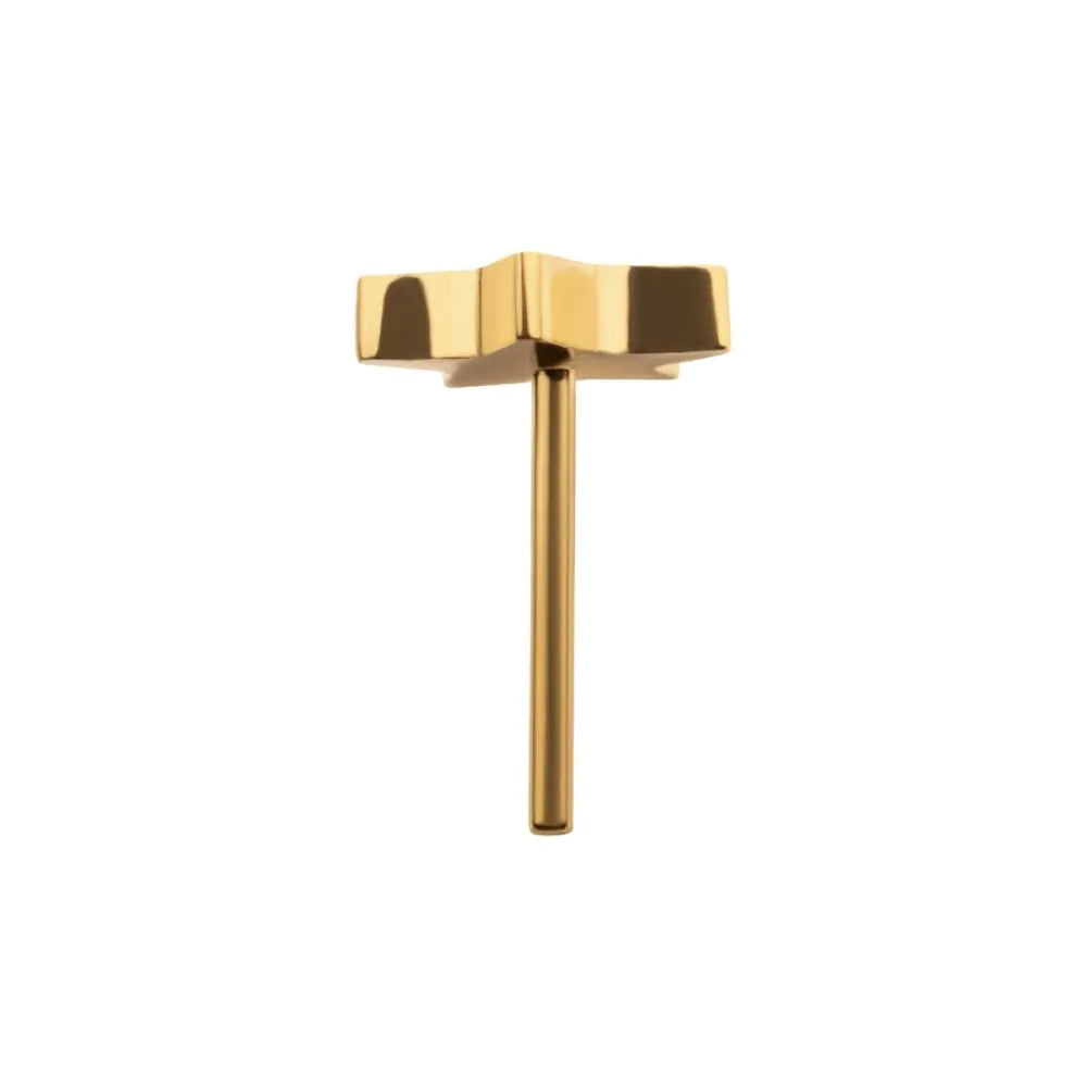 24KT Gold PVD Titanium Threadless with Star Top