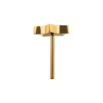 24KT Gold PVD Titanium Threadless with Star Top