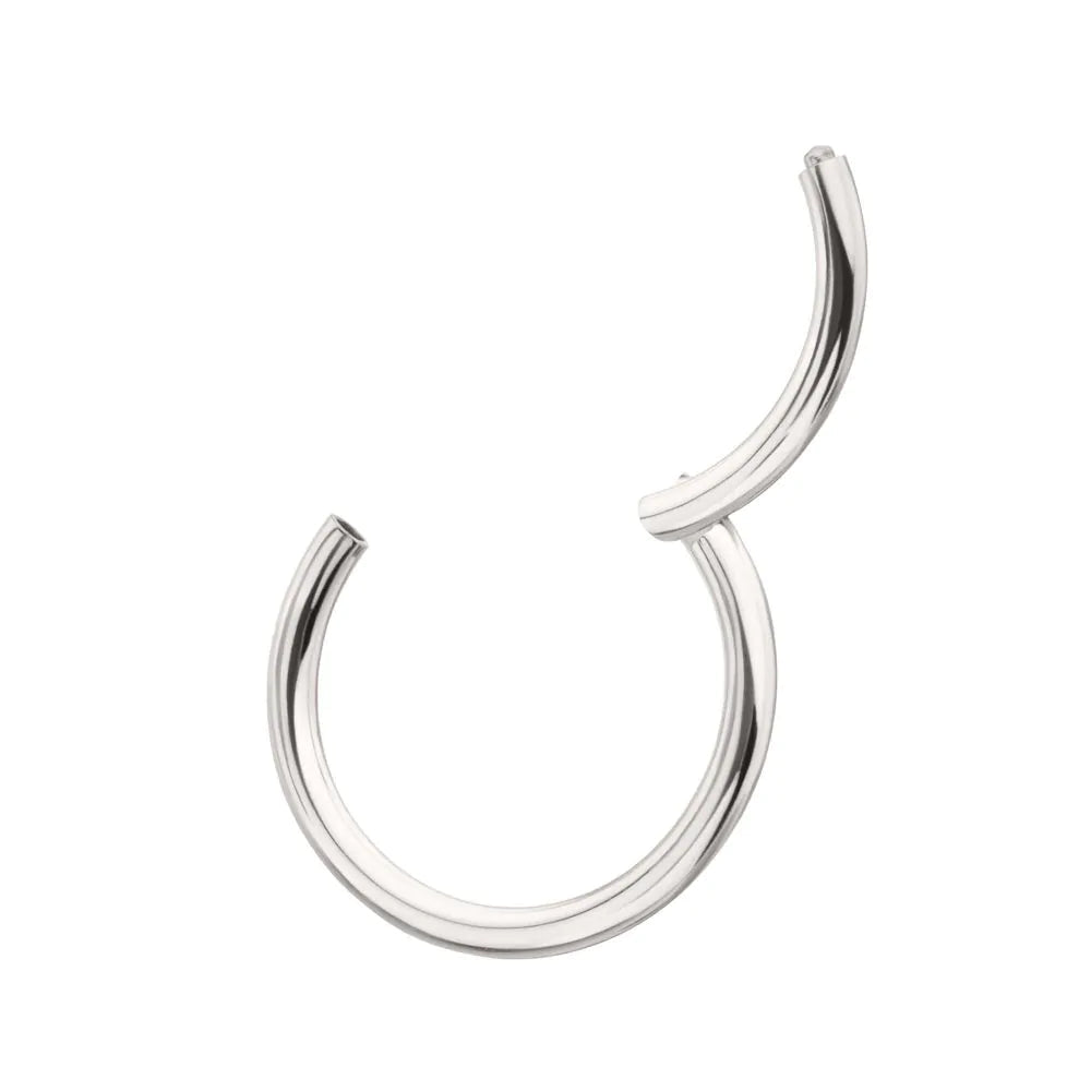 Platinum PVD Titanium Basic Hinged Segment Clicker