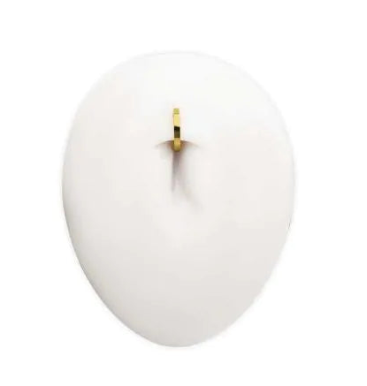 24Kt Gold PVD Titanium Oval Shape Hinged Segment Clicker