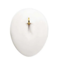 24Kt Gold PVD Titanium Oval Shape Hinged Segment Clicker