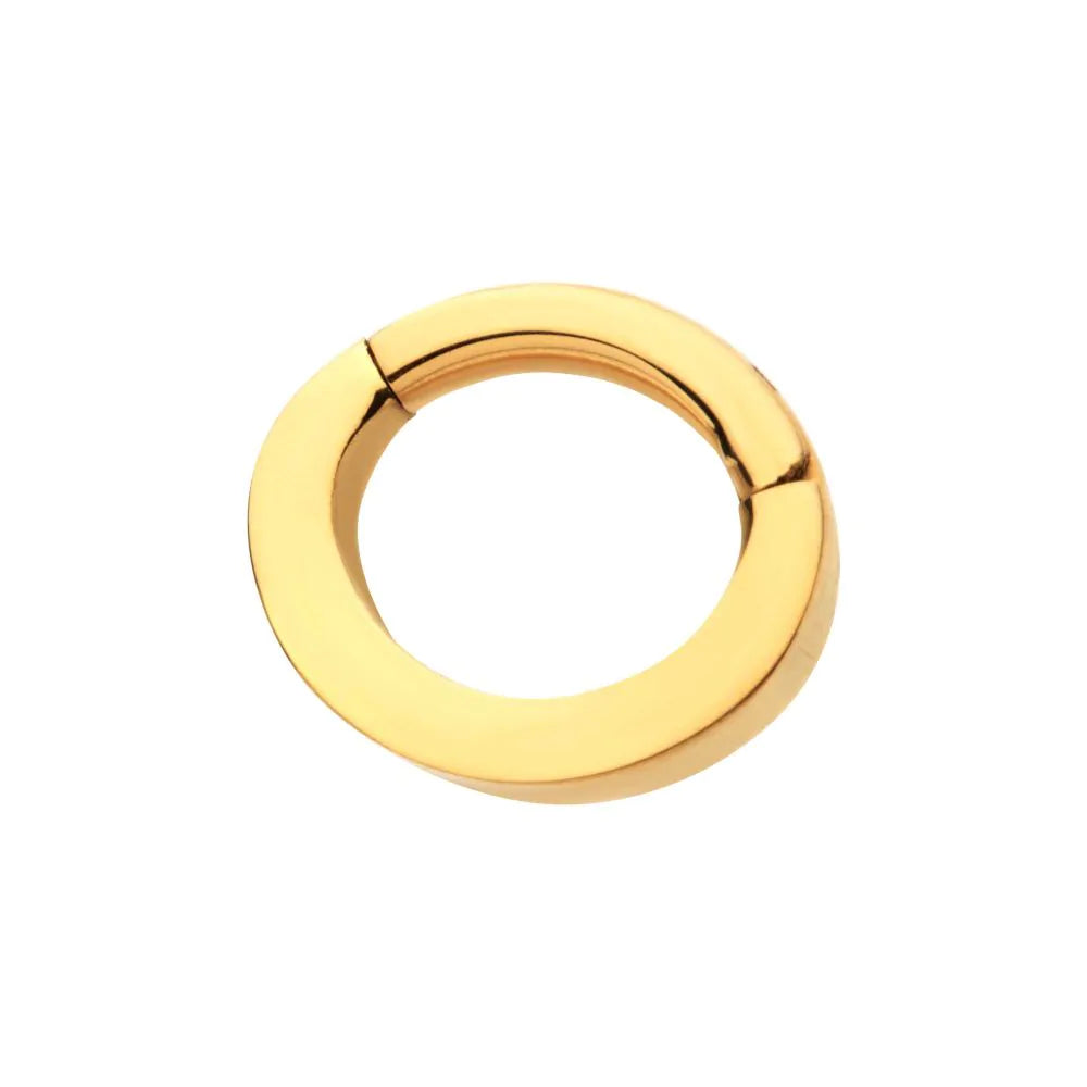 24Kt Gold PVD Titanium Oval Shape Hinged Segment Clicker