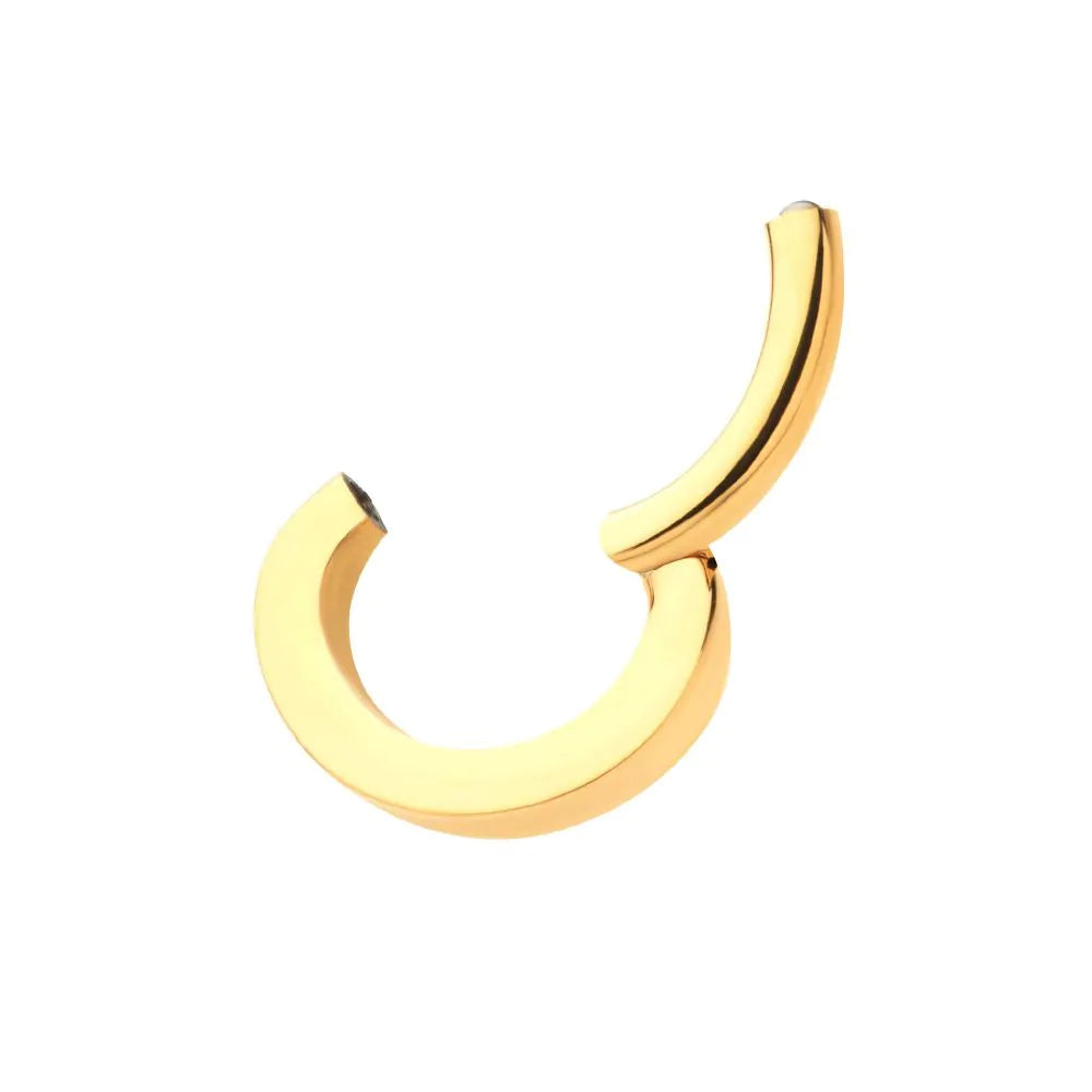 24Kt Gold PVD Titanium Oval Shape Hinged Segment Clicker