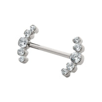 Titanium Semi-Bezel Set Round Gem
5-Cluster End Nipple Barbell 
(One Side Fixed, One Side Threadless )