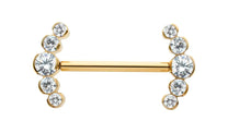 24Kt Gold PVD Titanium Semi-Bezel Set Round Gem
5-Cluster End Nipple Barbell 
(One Side Fixed, One Side Threadless )